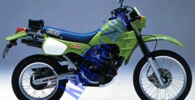 Descargar Manual Moto Kawasaki KLR 600 Reparación y Servicio