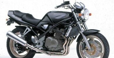 Descargar Manual Moto Suzuki GSF 400 Reparación y Servicio