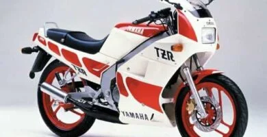 Manual Moto Yamaha TZR 125 Reparaci贸n y Servicio