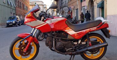 Manual Moto Cagiva Alazzurra 350 Reparación y Servicio