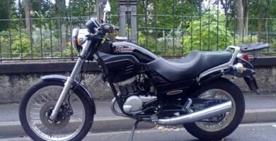 Descargar Manual Moto Cagiva Roadster 521 Reparacion y Servicio