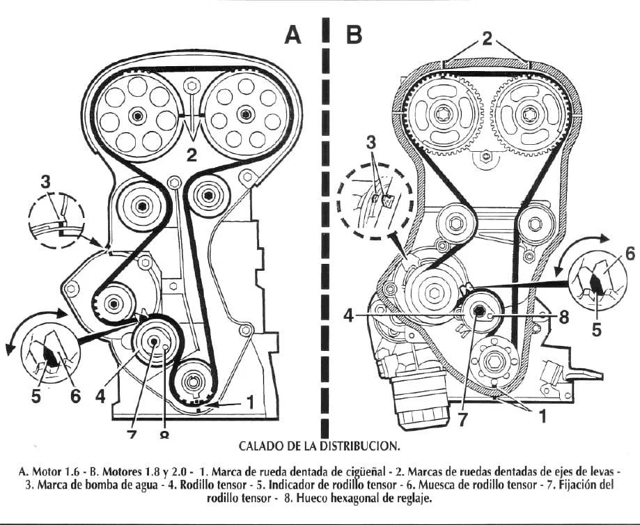 Esquema Banda o Cadena de Distribución Audi 100 1981