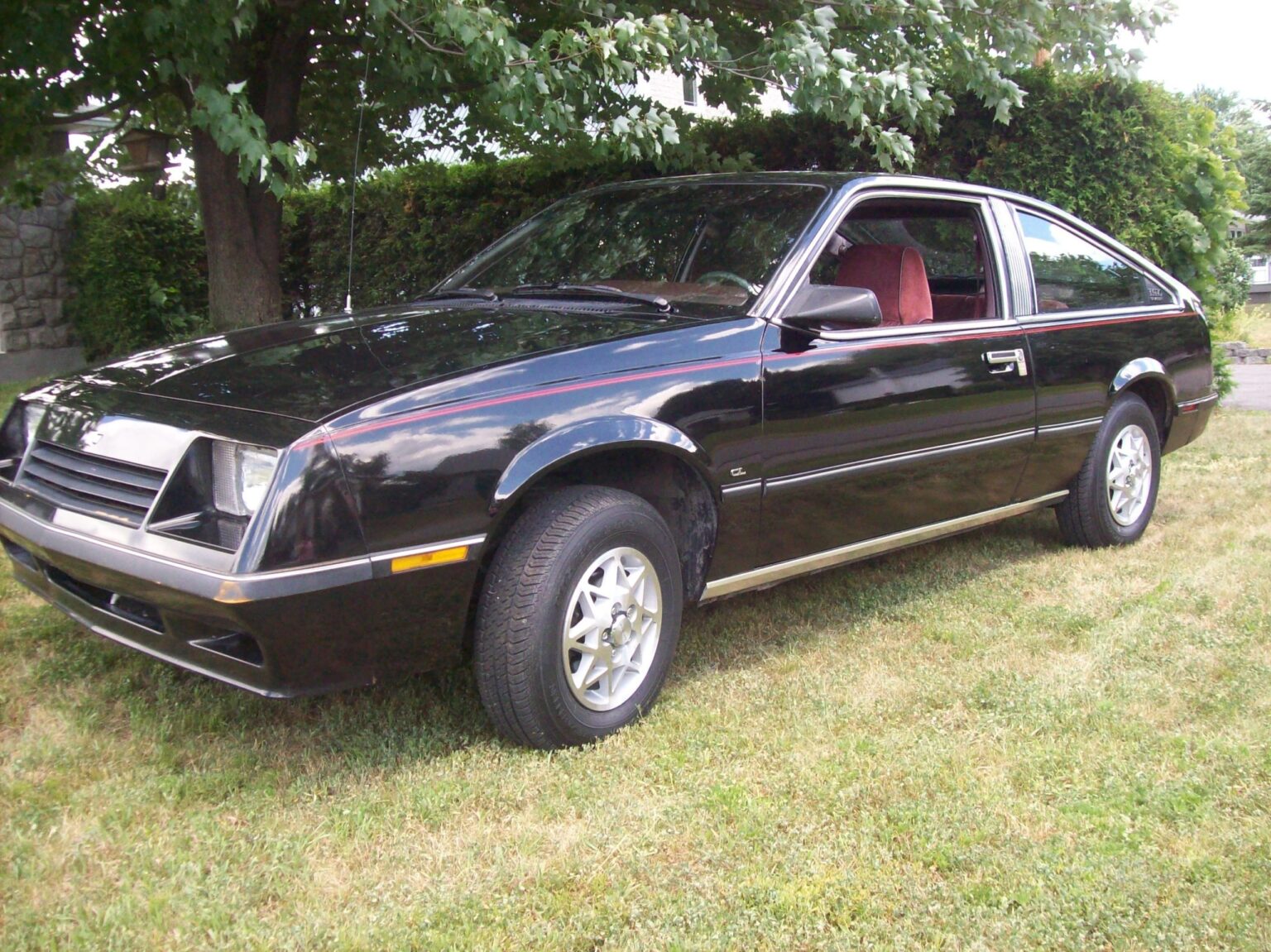 Cavalier1982