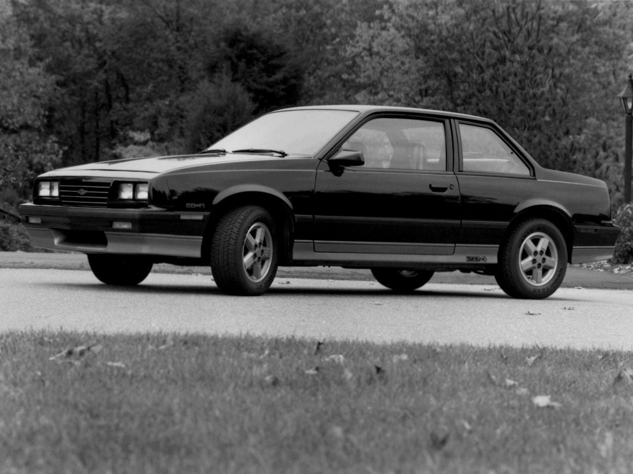 Cavalier1984