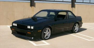 Cavalier1988