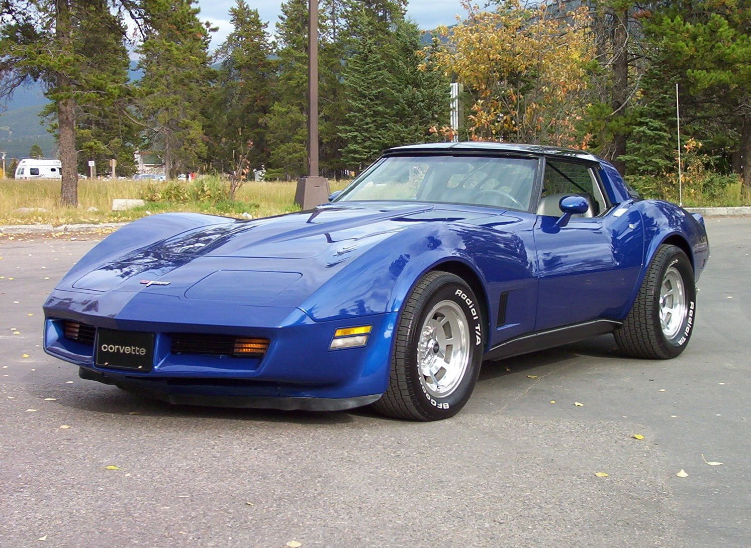 Corvette1981