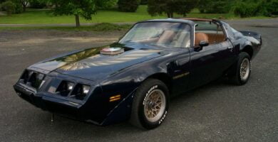 Firebird1981