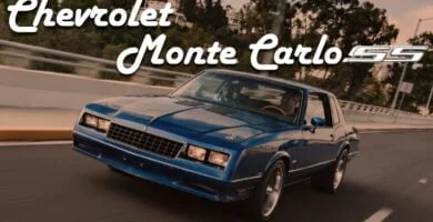 Montecarlo1982