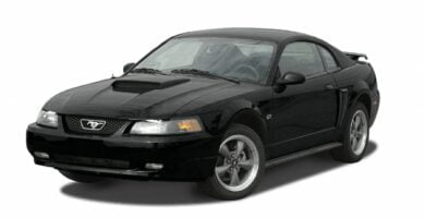 Mustang2002