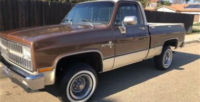 Chevypickup1981