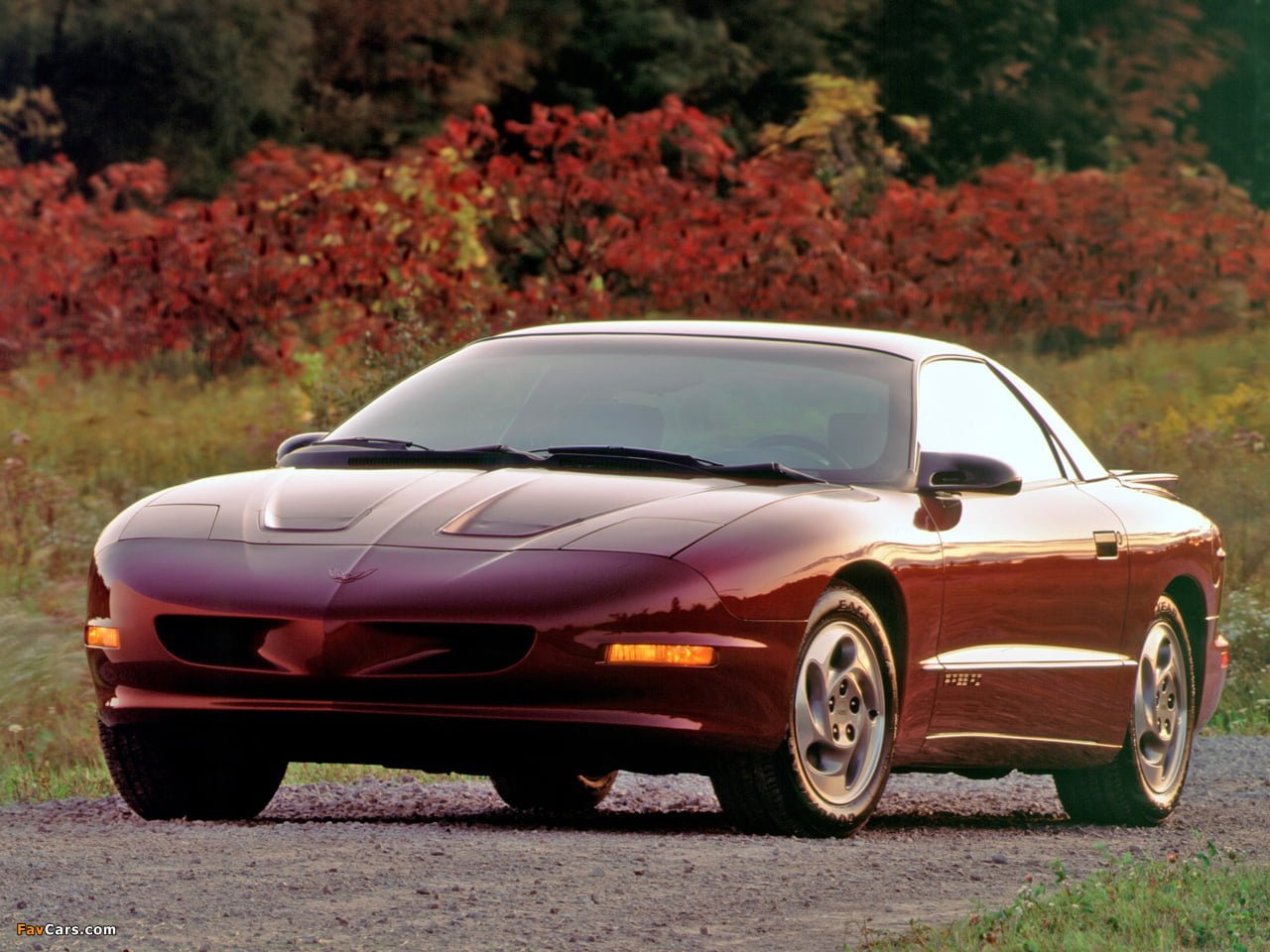 Firebird1993