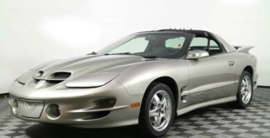 Firebird2002