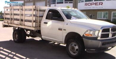 Ram45002010