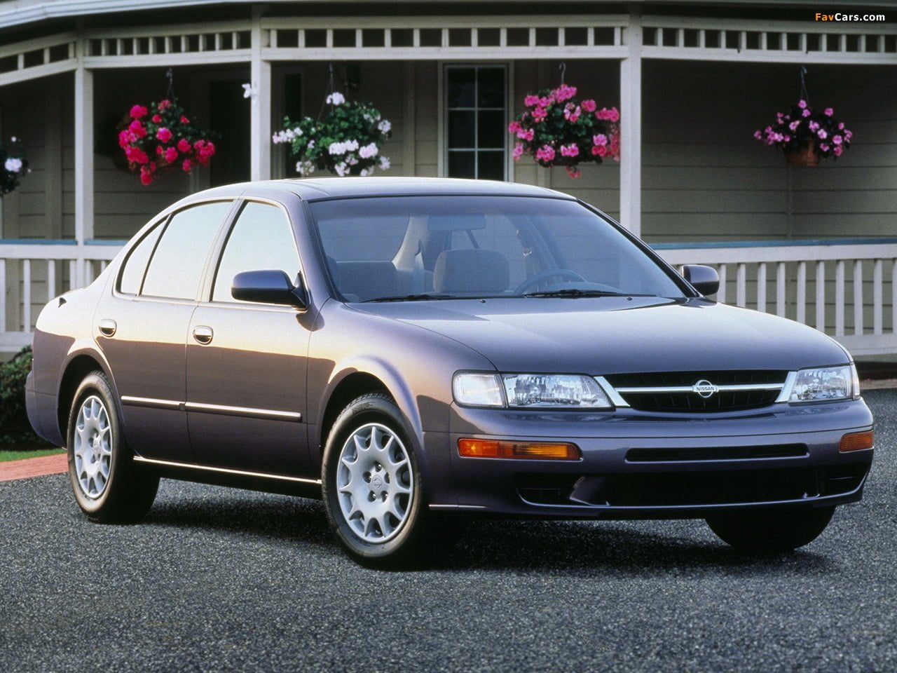 Maxima1995