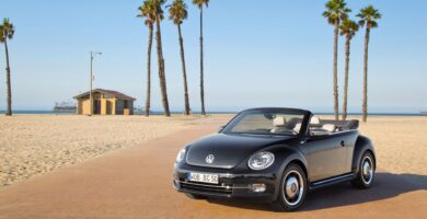 Descargar Catalogo de Partes BEETLE CABRIO 2015