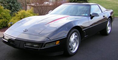 Descargar Manual de Propietario CHEVROLET Corvette 1995 en PDF Gratis