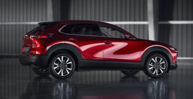 Descargar Manual de Propietario MAZDA CX 30 2020 en PDF Gratis