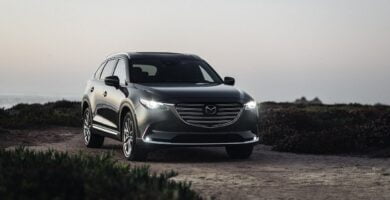 Descargar Manual de Propietario MAZDA CX 9 2020 en PDF Gratis