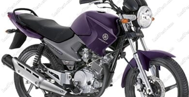 Manual de Partes Moto Yamaha 43B1 2010 DESCARGAR GRATIS
