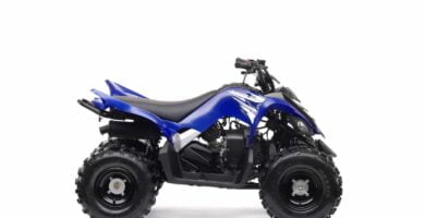 Descargar Manual de Moto Yamaha 43D1 2009 DESCARGAR GRATIS