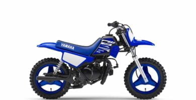 Descargar Manual de Moto Yamaha 5PGG 2008 DESCARGAR GRATIS