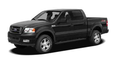 Descargar Manual de Propietario FORD F-150 2007 en PDF Gratis