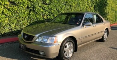 Descargar Manual Acura RL 2002 de Usuario