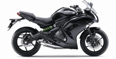 Descargar Manual en Español Kawasaki ER 6F ABS 2015 de Usuario PDF GRATIS