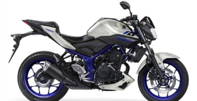 Descargar Manual en Español Yamaha MT-03 2016 de Usuario PDF GRATIS