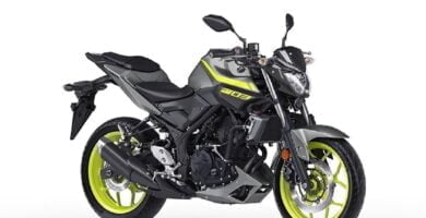 Descargar Manual en Español Yamaha MT-03 2018 de Usuario PDF GRATIS