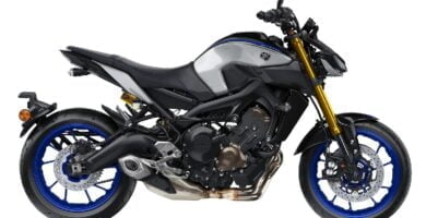 Descargar Manual en Español Yamaha MT09 SP 2018 de Usuario PDF GRATIS