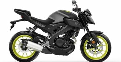 Descargar Manual en Español Yamaha MT125 2018 de Usuario PDF GRATIS
