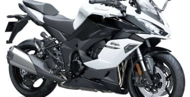 Descargar Manual en Español Kawasaki NINJA 1000SX 2020 de Usuario PDF GRATIS