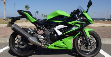 Descargar Manual en Español Kawasaki NINJA 250 SL 2014 de Usuario PDF GRATIS