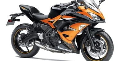 Descargar Manual en Español Kawasaki NINJA 650 2019 de Usuario PDF GRATIS