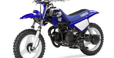 Descargar Manual en Español Yamaha PW50 2015 de Usuario PDF GRATIS