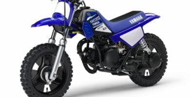 Descargar Manual en Español Yamaha PW50 2017 de Usuario PDF GRATIS