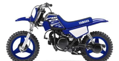 Descargar Manual en Español Yamaha PW50 2018 de Usuario PDF GRATIS