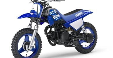 Descargar Manual en Español Yamaha PW50 2019 de Usuario PDF GRATIS