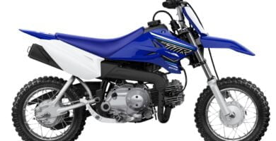 Descargar Manual Yamaha TT-R110E 2021 de Usuario PDF GRATIS