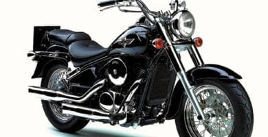 Descargar Manual en Español Kawasaki VN800 CLASSIC 2005 de Usuario PDF GRATIS