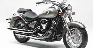 Descargar Manual en Español Kawasaki VN900 CLASSIC 2007 de Usuario PDF GRATIS