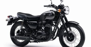 Descargar Manual en Español Kawasaki W800 2015 de Usuario PDF GRATIS