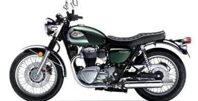 Descargar Manual en Español Kawasaki W800 2020 de Usuario PDF GRATIS