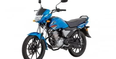 Descargar Manual en Español Yamaha YS65 2020 de Usuario PDF GRATIS