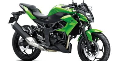 Descargar Manual en Español Kawasaki Z250 SL 2014 de Usuario PDF GRATIS