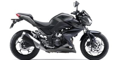 Descargar Manual en Español Kawasaki Z300 ABS 2014 de Usuario PDF GRATIS