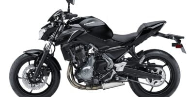 Descargar Manual en Español Kawasaki Z650 ABS 2018 de Usuario PDF GRATIS