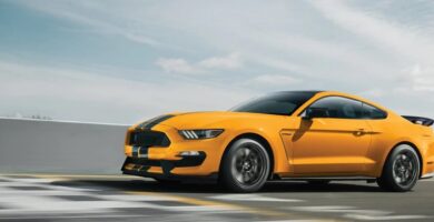 Descargar Manual en Español FORD SHELBY 2019 de Usuario PDF GRATIS