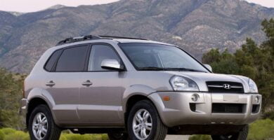 Descargar Manual HYUNDAI TUCSON 2006 de Usuario